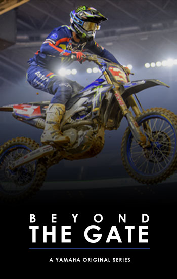 BEYOND THE GATE