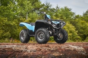 GRIZZLY EPS Beauty 3